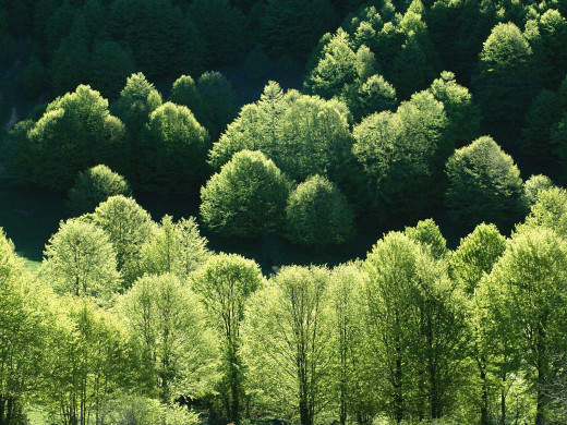 43344 (a): :1600x1200